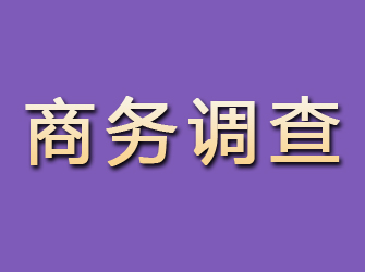 郴州商务调查